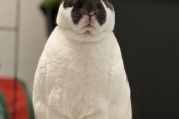 “You’re looking at my belly, aren’t you? Stop looking at my spots!”