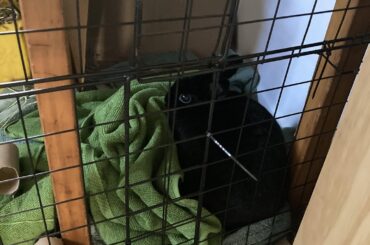 She likes to snuggle with her towel when it's cold out