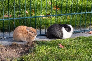 Was told to post this here