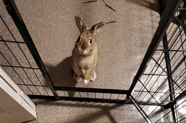 Such a good girl 😍 thanks for a fellow redditor for showing me this page!!