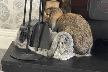 “We’ve got the whole house to choose from, let’s just squish in here”