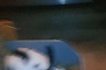 Her litter box is literally right there.