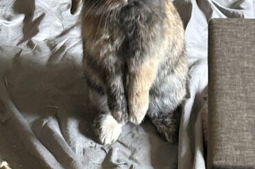 Whatcha looking for?