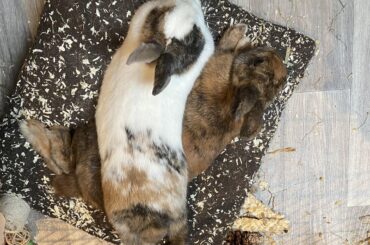 They do this to each other daily.