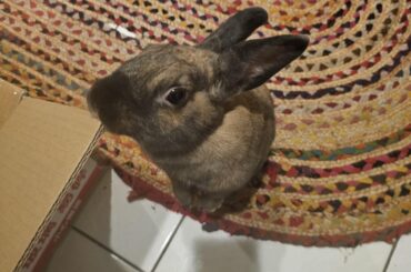 No, you didn't catch me nibbling on this box.