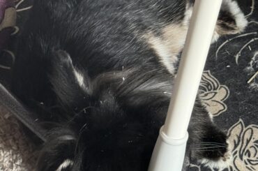 I can’t believe she finds this comfy 💀