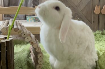 Streeeetch for some snack