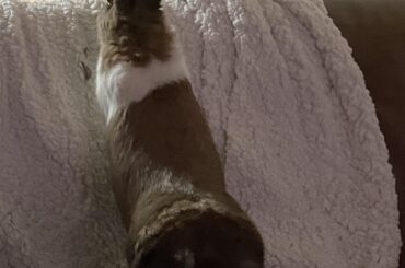 exploring her new home