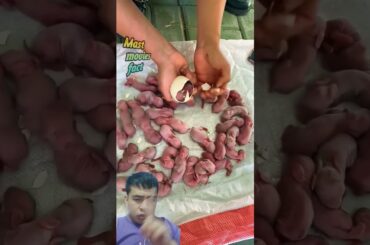 This is not true #pet #bunny #petbunny #petrabbit #farming #rabbitfarming #rabbit #animals #cute