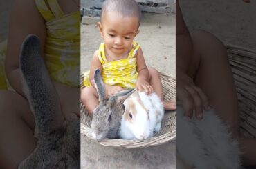 Cute baby and cute bunny #shorts