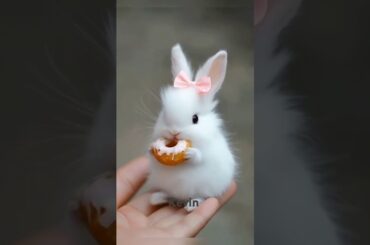 Cute bunny #jinglebells #cute #youtubeshorts #shorts #trending #trendingshorts