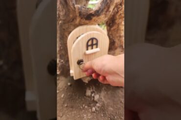 What does the little rabbit do at home#cute #rabbit#cute pets in the countryside