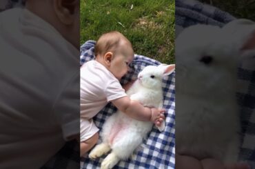 #baby and #bunny #rabbit sleeping