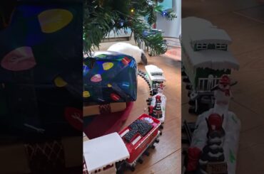 Cute rabbit enjoying the holidays #bunny #christmas #christmastree #hobbyfarm #farm #cute #rescue