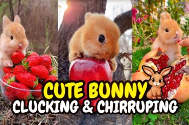Cute little Rabbit Eating fruits and vegetables making satisfying Sound #bunny #cute #eating