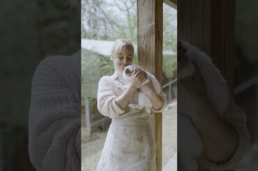 Cute Bunny | Adorable Pets | Cute Pets | Adorable Pets for Kids! | Kids Video | Christmas Special