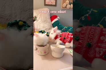 Merry Christmas -  all i want is you  #funnyvideo#cute bunny # merry christmas # cute #bunny