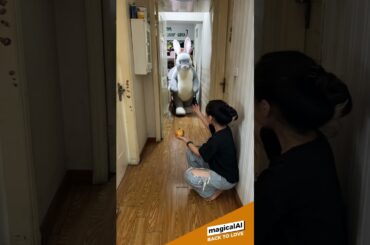 Summons a cute grey bunny #bunny #rabbit #ai #aiart #aivideo #pets #pet