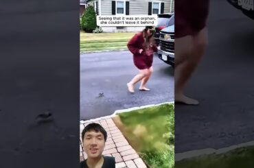 A cute rabbit #shorts