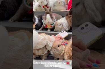 The Rabbit Gathering Ultimate Cute Rabbit Collection BEST moments Caught on Camera #usa #rabbit