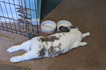 I would have had a very sore neck if it was me...