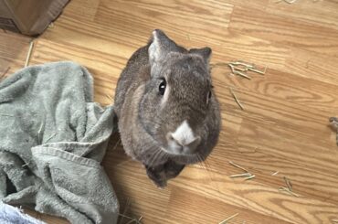 She is expecting a treat. Please deliver.