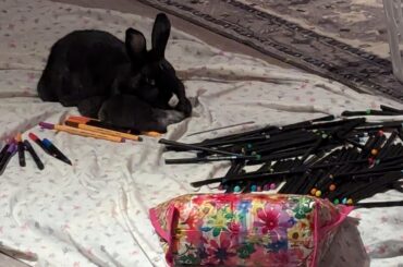 Ah, yes. Right on top of the markers.