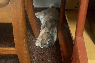 If it fits, I… 😌