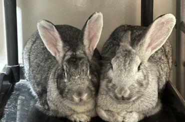Plenty of space around the house yet they chose this dirty plastic shelf