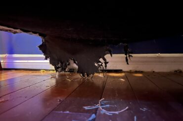 Guys, she tore hole in my couch just to chill inside it.