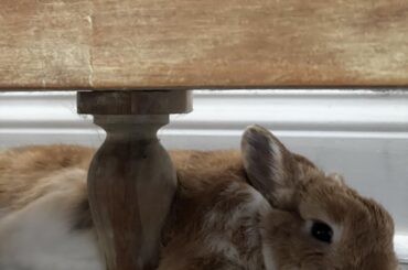 After Christmas Blues