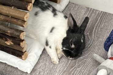 looks pretty buncomfortable to me