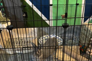 Nothing like a little elevation under your hips