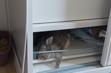 There's no way this can be comfortable