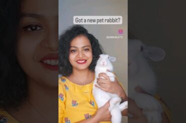 4 basic things required for your new pet rabbit! #pet #petparenting #rabbitpet #rabbitcare #india