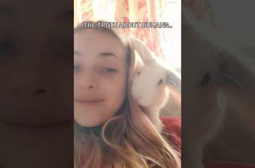 The sad truth about humans..#funnybunny #rabbitlove #cutebunny