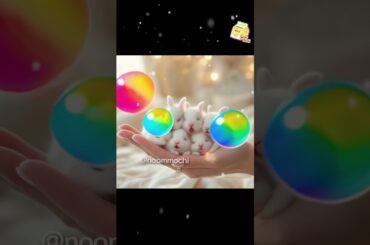 Cute tiny bunny take a mini nap #rabbit #rabbits #babyrabbit #cuterabbit #bunny #mini #pet