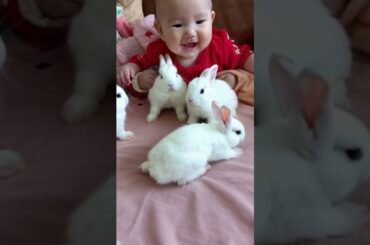 #Cute baby playing with Little #Rabbits