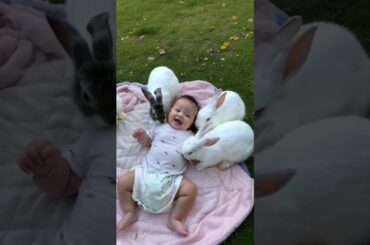 Fluffy #Rabbits and #Cute #Baby