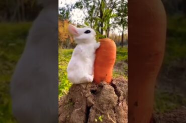 Cutest Baby Bunny #short #shorts #rabbit #bunny #animal #animals #pet #pets #cuteanimals #baby #cute