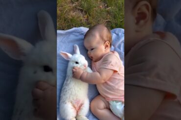 #baby and #bunny #rabbit sleeping