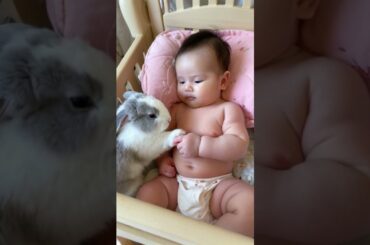 #Baby and #Bunny #Cuddling