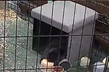 ig it was in the way so… 🤷