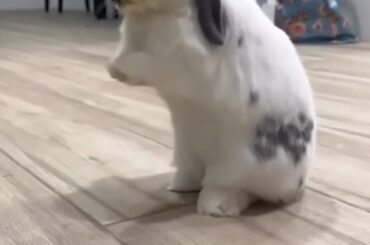 first time seeing him stand up