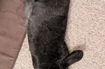 What shape even is this?