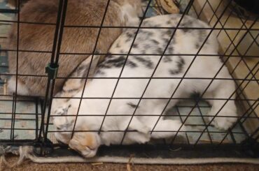 I'll sleep wherever I want