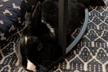 Are you comfortable Freya?