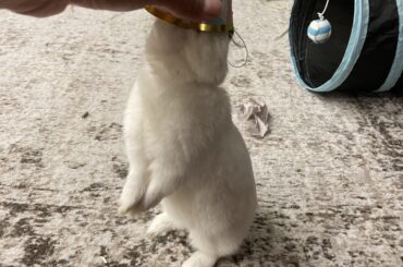 It's someone's birthday today!