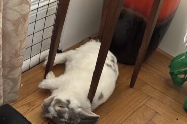 I will never understand how this is comfortable