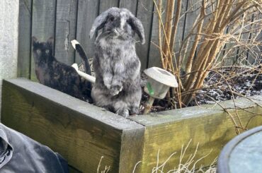 First time in the snow/winter